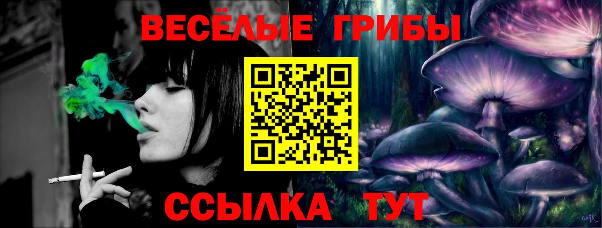 Псилоцибиновые грибы прущие грибы Красноярск